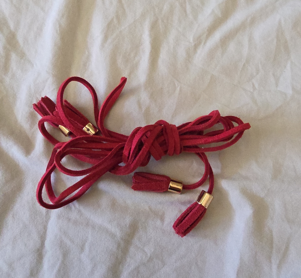 Red Leatherlike Shoelaces With Gold Accent Tip Locks